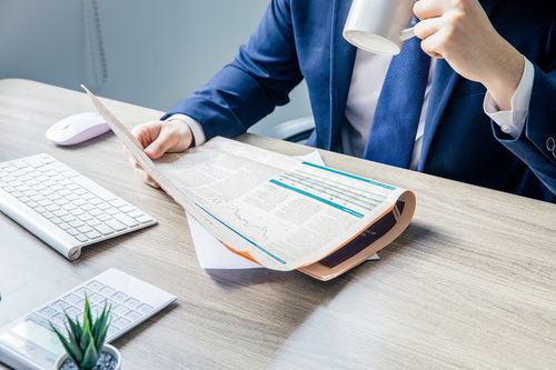 商标评审案件的类型与项目策划及公关服务的关系