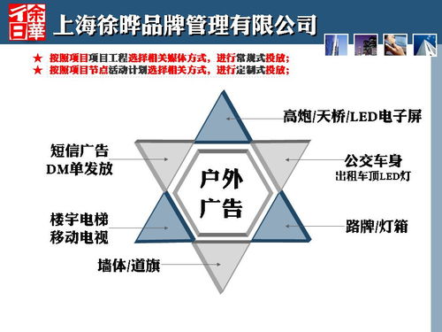 商业策划人刀锋与贵州毕节金街口商业地产项目定位策划案公开始末