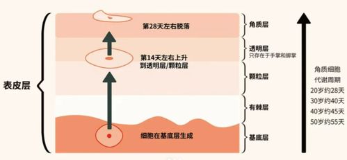 2024祛斑段位榜 宝藏级产品亲测，还你干净无瑕肌肤